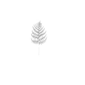 Pin hoja plateado