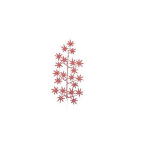 Pin esttrella palo de rosa