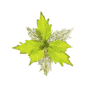 Flor navideÑa verde limon