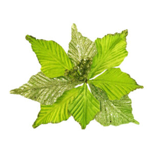 Flor navideÑa verde limon