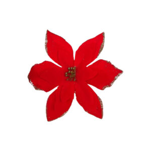 Flor navideÑa roja