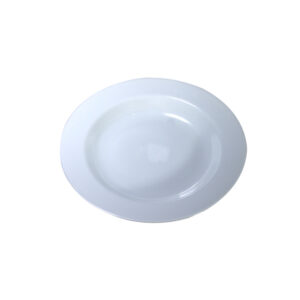 Plato pando